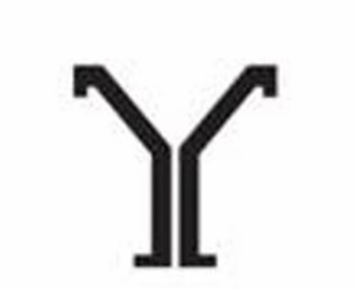 Y logo