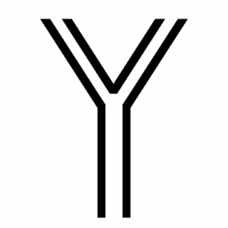 Y logo