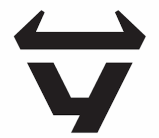 Y logo