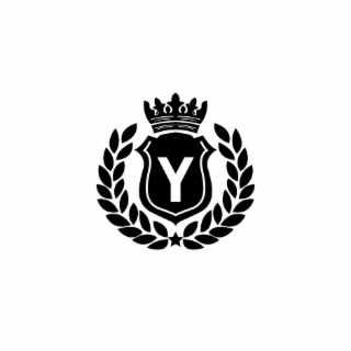 Y logo