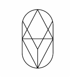 Y logo