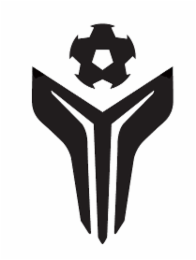 Y logo