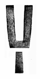 Y logo