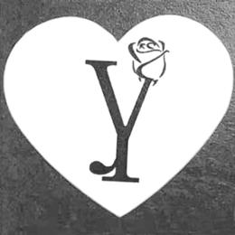 Y logo
