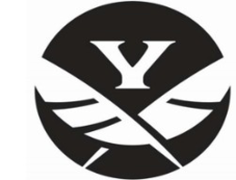 Y logo
