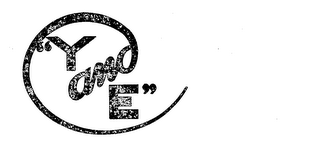 "Y AND E." logo
