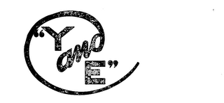 "Y AND E." logo