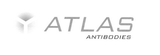 Y ATLAS ANTIBODIES logo
