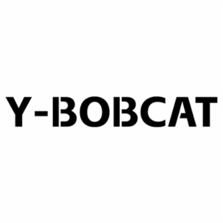 Y-BOBCAT logo