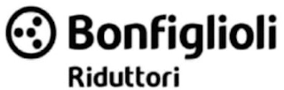 Y BONFIGLIOLI RIDUTTORI logo