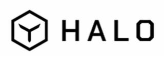 Y HALO logo