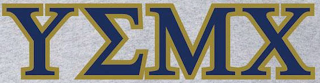 Y MX logo