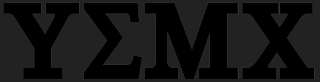 Y MX logo