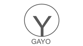 Y O GAYO logo