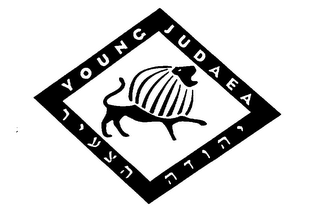 Y O U N G  J U D A E A logo