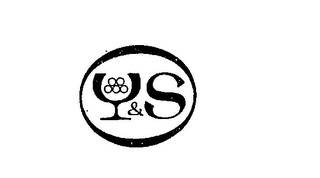 Y & S logo