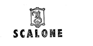 Y SCALONE logo
