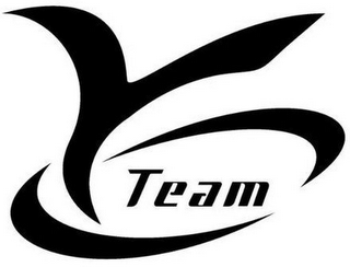Y TEAM logo