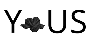 Y US logo