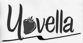 Y VELLA logo