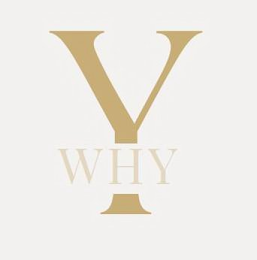 Y WHY logo
