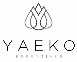 Y YAEKO ESSENTIALS logo