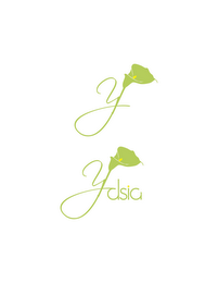 Y YDSIA logo
