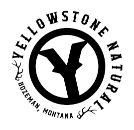 Y YELLOWSTONE NATURAL BOZEMAN, MONTANA logo