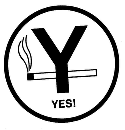 Y YES! logo