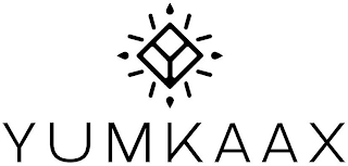 Y YUMKAAX logo