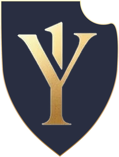 Y1 logo
