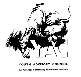YAC YOUTH ADVISORY COUNCIL AN ARKANSAS COMMUNITY FOUNDATION INITIATIVE logo