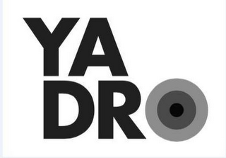 YADRO logo