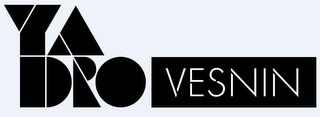 YADRO VESNIN logo
