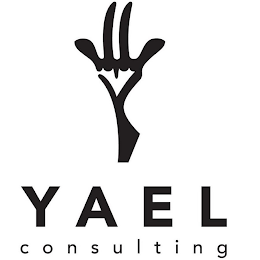 YAEL CONSULTING logo
