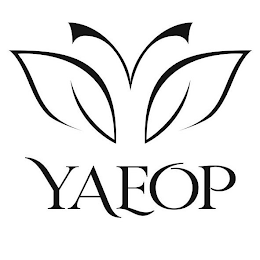 YAEOP logo