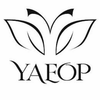 YAEOP logo