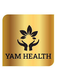 YAM HEALTH logo