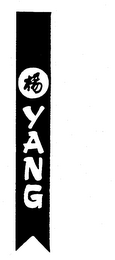 YANG logo