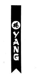 YANG logo