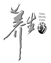 YANG SHENG FANG logo