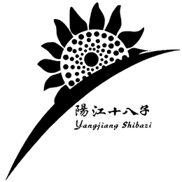 YANGJIANG SHIBAZI logo