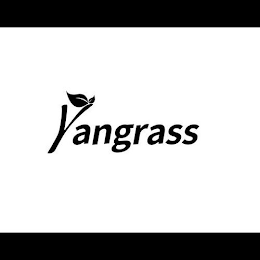 YANGRASS logo