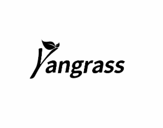 YANGRASS logo