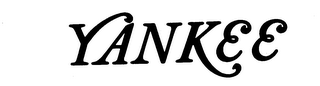 YANKEE logo