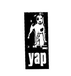 YAP logo