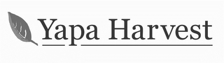 YAPA HARVEST logo