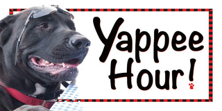 YAPPEE HOUR logo