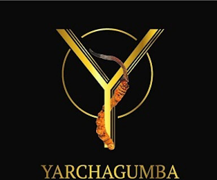 YARCHAGUMBA WITH DEVICE OF Y logo