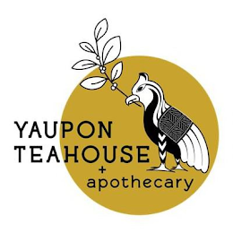 YAUPON TEAHOUSE + APOTHECARY logo